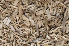 biomass boilers Blundeston